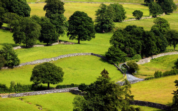 Картинка природа дороги дорога участки трава деревья поля великобритания