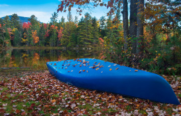 Картинка корабли лодки +шлюпки лодка река лес