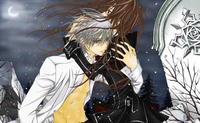 Обои картинки фото аниме, vampire knight, рыцарь-вампир, yuuki, cross, vampire, knight, объятия, плита, ветер, kiryu, zero, снег, ночь, луна