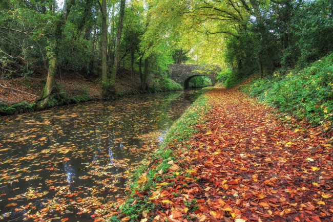 Обои картинки фото природа, реки, озера, осень, канал, лес