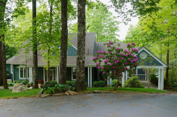 Картинка города -+здания +дома кусты деревья цветы дом