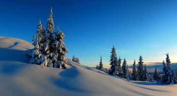 Картинка природа зима снег деревья