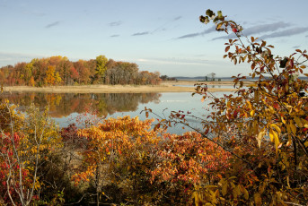 Картинка природа реки озера простор