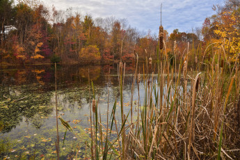 Картинка природа реки озера простор