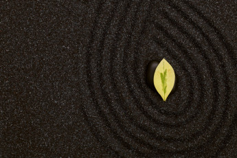 Картинка разное текстуры листик камень песок текстура