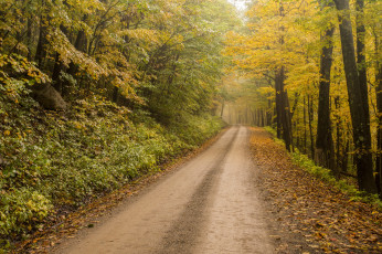 Картинка природа дороги простор