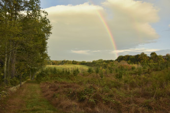 Картинка природа радуга простор