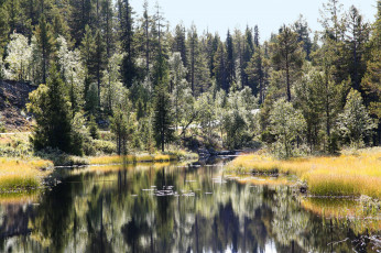 Картинка природа реки озера простор