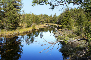 Картинка природа реки озера простор