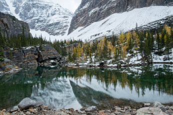 Картинка природа реки озера простор