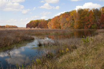 Картинка природа реки озера простор