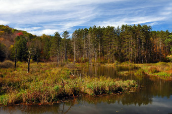 Картинка природа реки озера простор