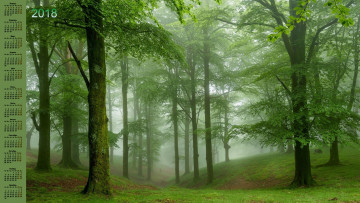 Картинка календари природа 2018 деревья