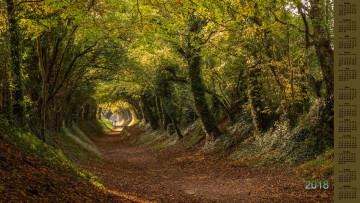 Картинка календари природа деревья 2018