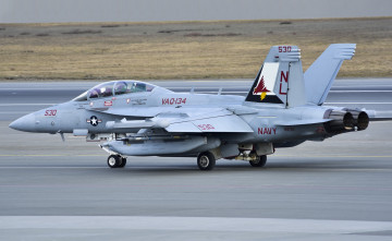 Картинка boeing+ea-18g+growler авиация боевые+самолёты истребитель