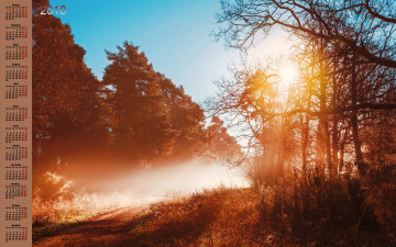 Картинка календари природа растения деревья 2018