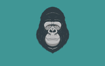 Картинка рисованное минимализм обезьяна monkey голова gorilla горилла