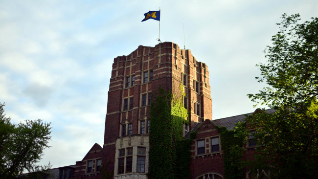 Обои картинки фото города, - здания,  дома, здание, плющ, флаг