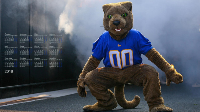 Обои картинки фото календари, -другое, животное, 2018, костюм