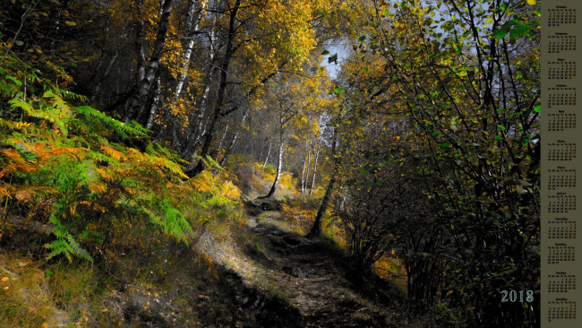 Обои картинки фото календари, природа, деревья, 2018, тропа