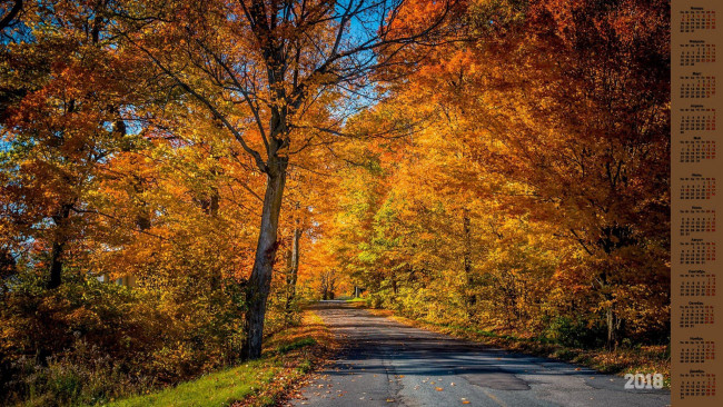 Обои картинки фото календари, природа, дорога, 2018, деревья