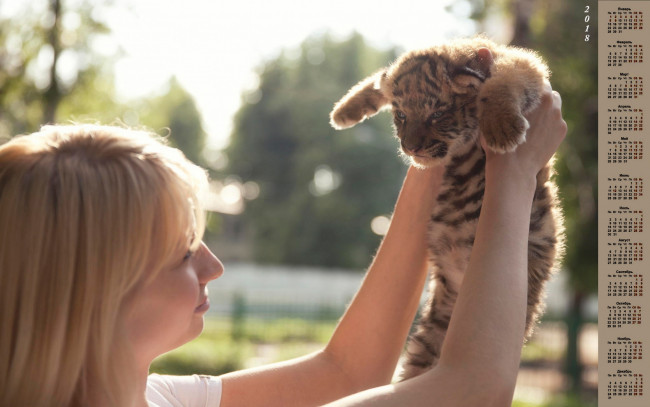 Обои картинки фото календари, животные, тигренок, 2018, женщина, профиль