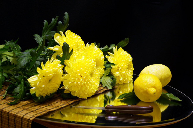 Обои картинки фото еда, цитрусы, цветы, хризантемы, нож, цитрус, лимон