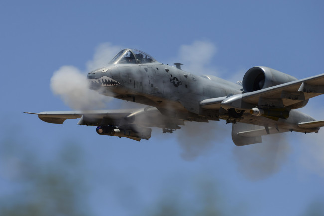 Обои картинки фото a-10 thunderbolt ii, авиация, боевые самолёты, штурмовик