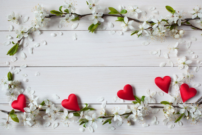 Обои картинки фото праздничные, день святого валентина,  сердечки,  любовь, сердечки, день, святого, валентина, праздник, цветы