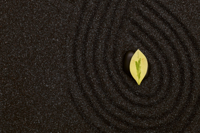 Обои картинки фото разное, текстуры, листик, камень, песок, текстура