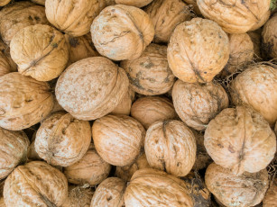 Картинка еда орехи +каштаны +какао-бобы грецкие