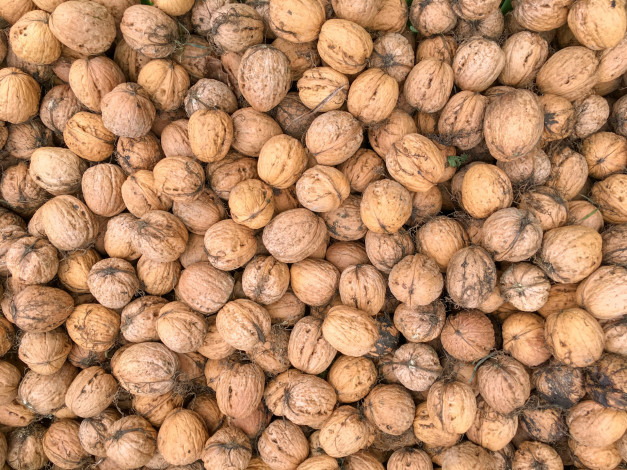 Обои картинки фото еда, орехи,  каштаны,  какао-бобы, грецкие