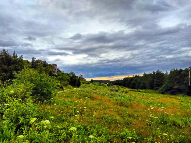 Обои картинки фото природа, луга, луг, трава, облака