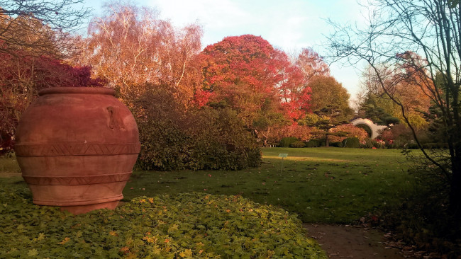 Обои картинки фото природа, парк, листопад, осень