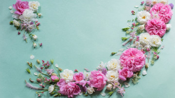 Картинка цветы разные+вместе розы пионы аквилегия