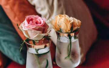 Картинка цветы розы дуэт