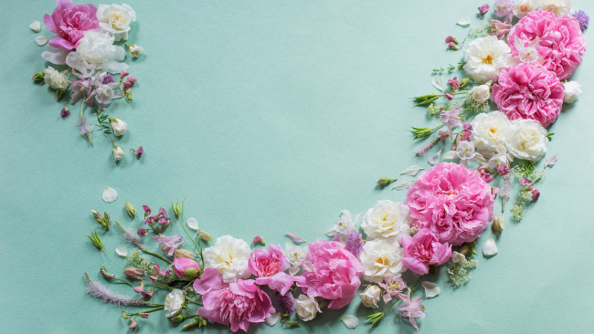 Обои картинки фото цветы, разные вместе, розы, пионы, аквилегия