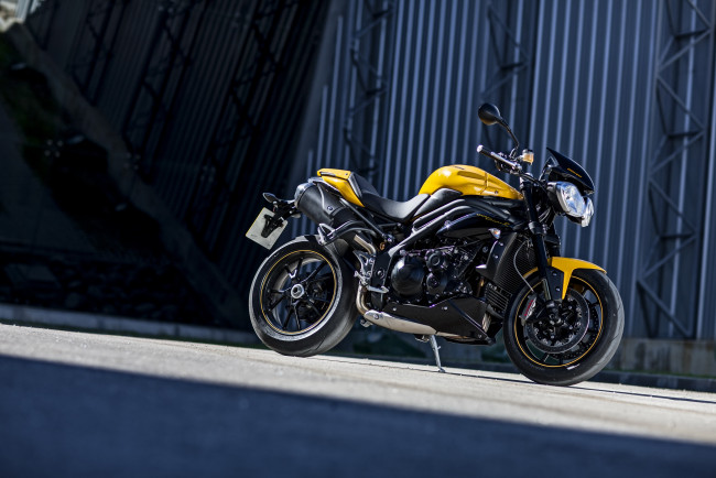 Обои картинки фото мотоциклы, triumph