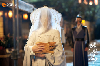 Картинка кино+фильмы the+inextricable+destiny женщина накидка кот