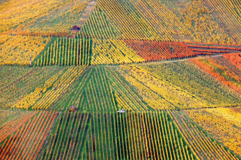 обоя природа, поля, поле