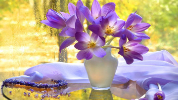 обоя цветы, крокусы