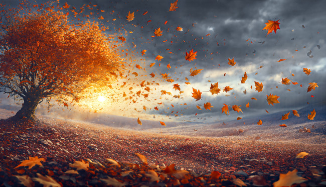 Обои картинки фото 3д графика, природа , nature, пейзаж