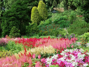 Картинка природа