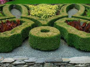 Картинка природа