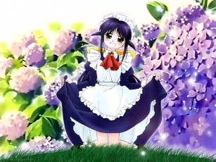 Картинка аниме mahoromatic