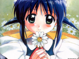 Картинка аниме mahoromatic