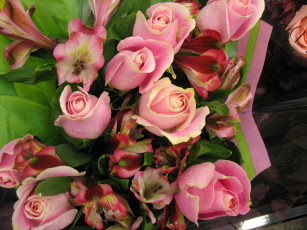 Картинка цветы разные вместе