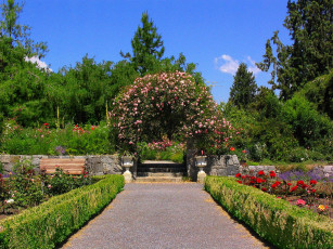 Картинка природа