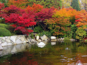 Картинка природа