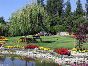 Картинка природа